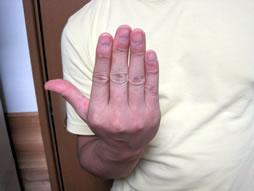 右手の指４本