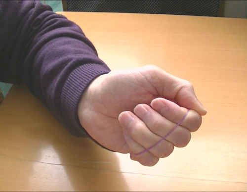 左手の親指以外の４本の指を軽く開く